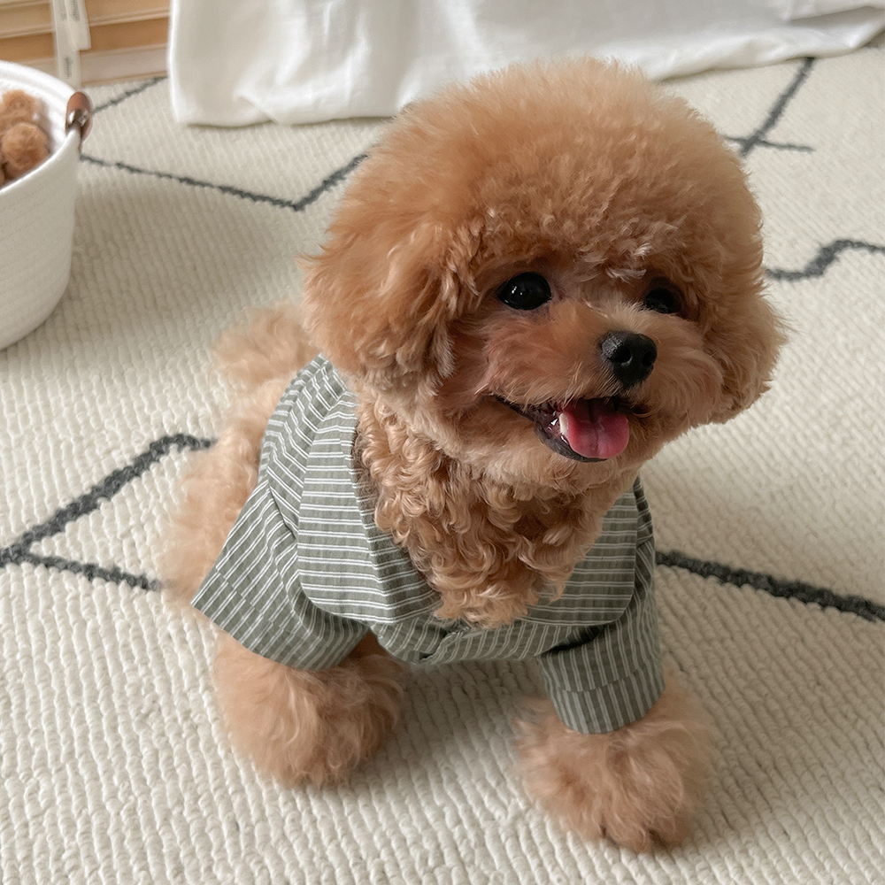 스탠딩 스트라이프 강아지잠옷 반려견 펫파자마 3color - 상세 이미지 3