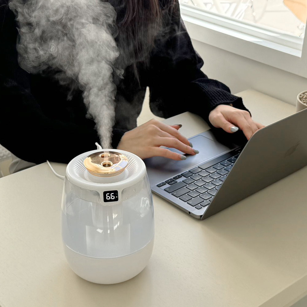 헤몬 에그포그 미니가습기 사무실 초음파 저소음 무드등 탁상용 책상용 가습기