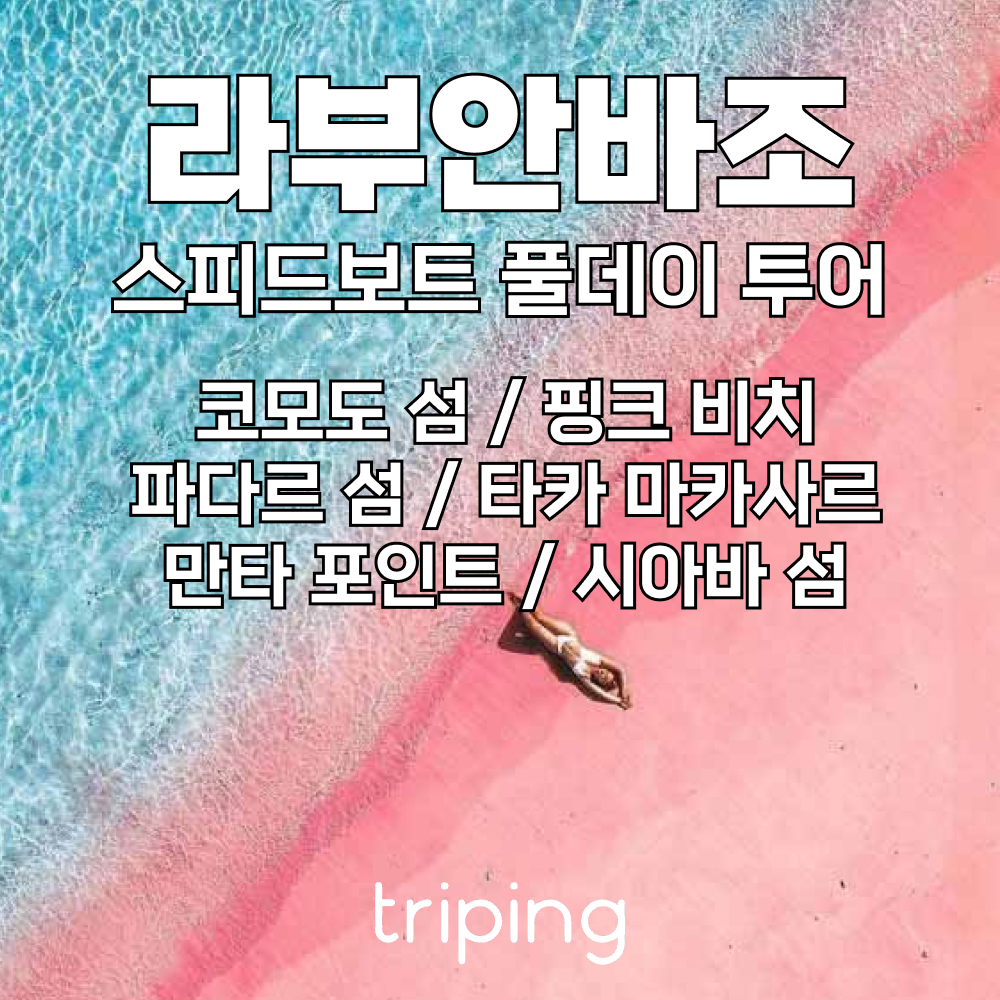 발리 코모도섬 투어 라부안 바조 스피드 보트 스노쿨링 일일 데이 투어 만타 바다거북