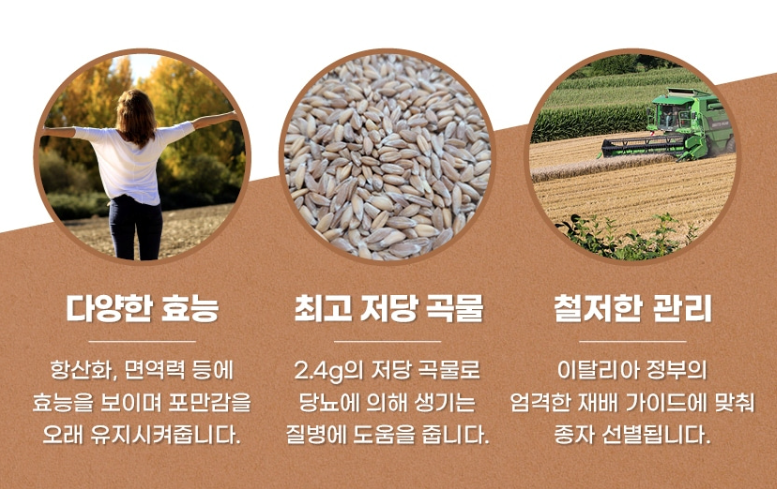 그레이온 파로 파로 쌀 곡물 카무트 효소 밥 팔호 쌀 밀 1kg - 상세 이미지 5