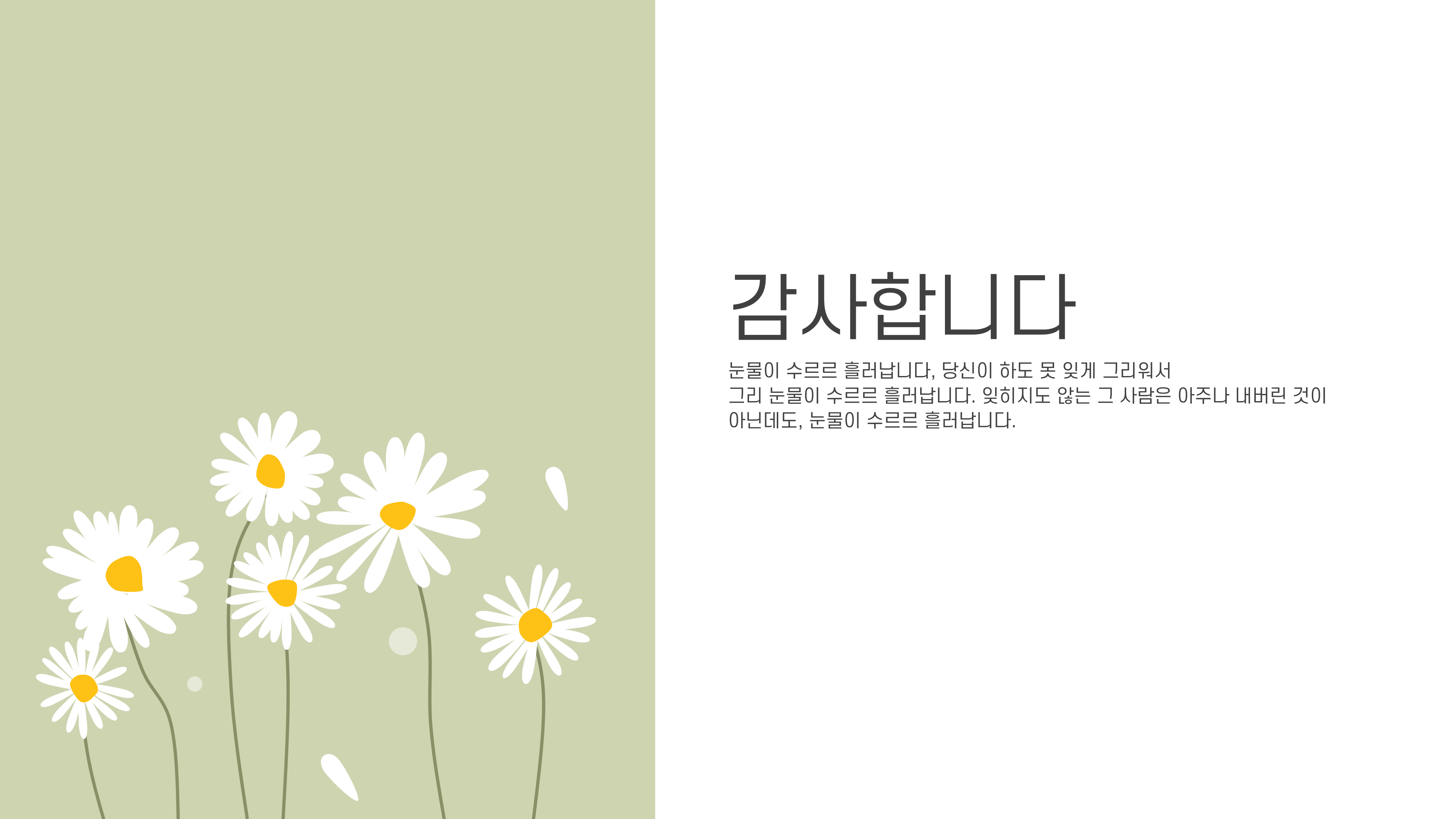 1021 꽃 배경 감성적인 ppt 템플릿 발표 피피티 양식(5페이지 구성) 이미지 6