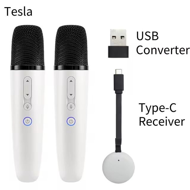 BYD 테슬라 마이크 출시 전용 차량용 리시버 포함 비전 정품 판매 마이크 1개 + 리시버 1개