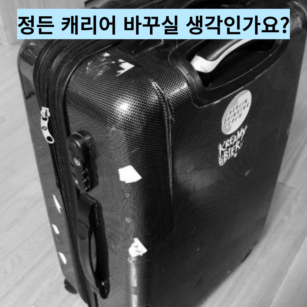 여행용캐리어커버 스판 보호 덮개 항공커버 이미지 4