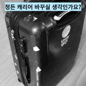 여행용캐리어커버 스판 보호 덮개 항공커버 솔직 후기 | 실사용자 리뷰 분석 - 상품 이미지 4