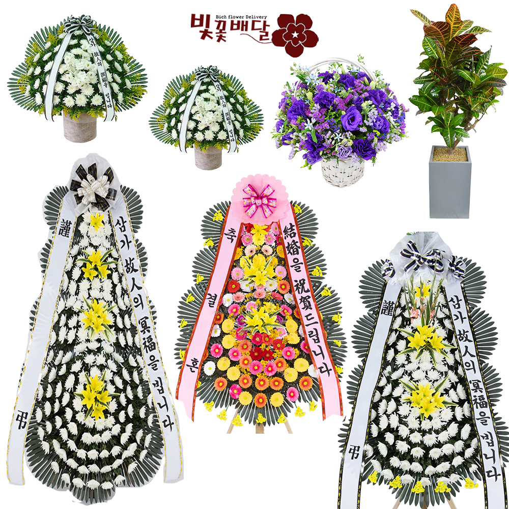 창원근조화환 창원시성산구장례식장화환 조화배달 : 근조화환 카네이션 꽃바구니
