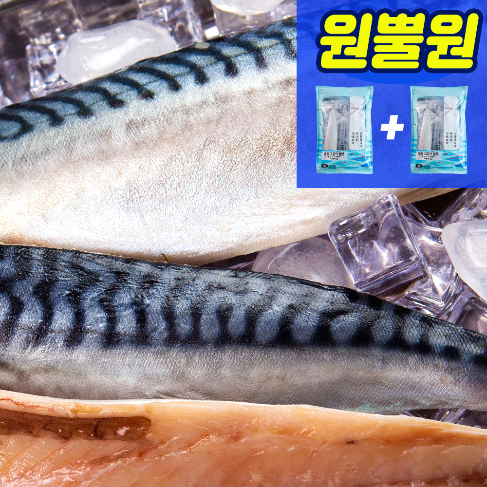 (원뿔원) 미다지 프리미엄 노르웨이 고등어 필렛1kg 1+1