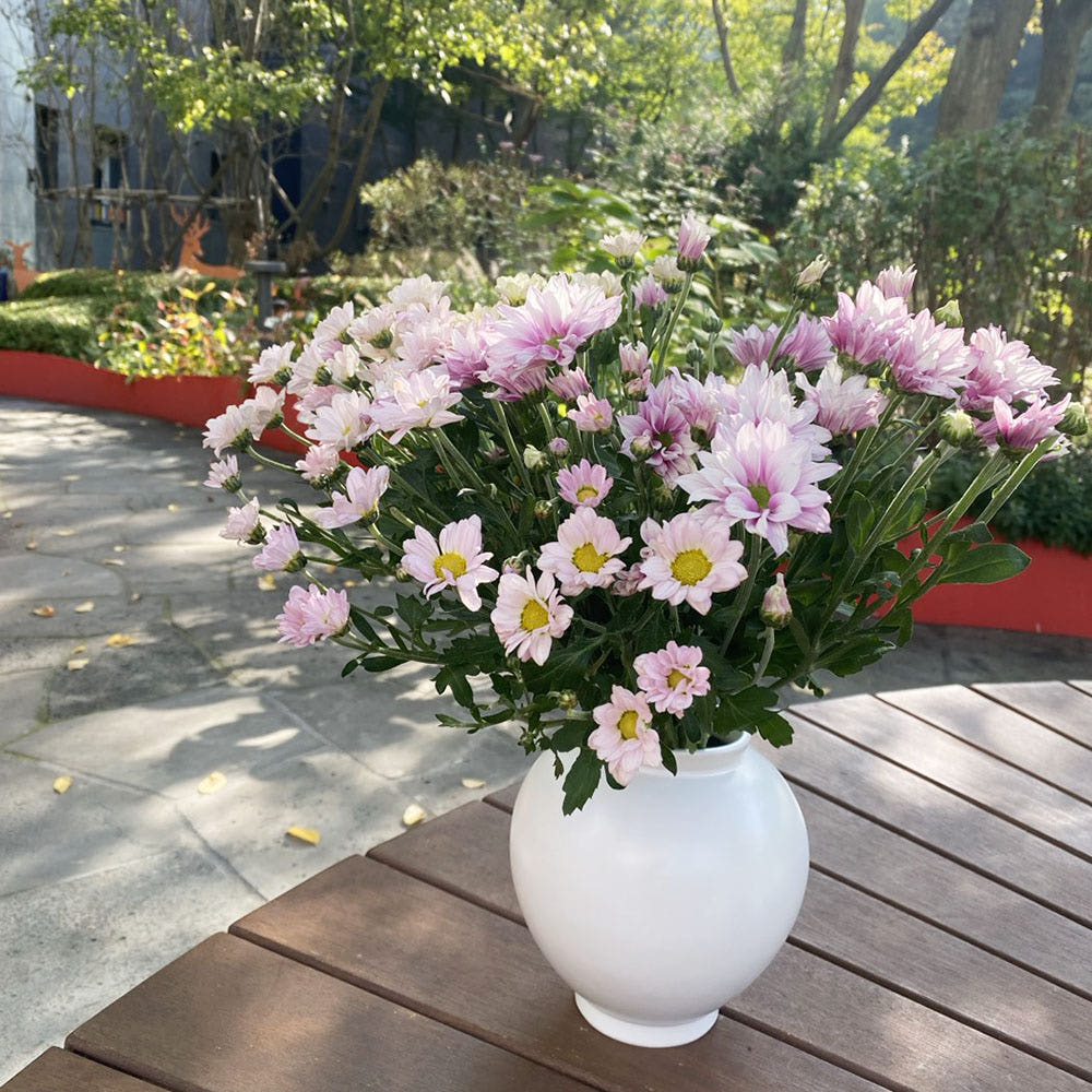 오후의 꽃 소국 생화 국화 가을꽃 꽃배달 꽃배송