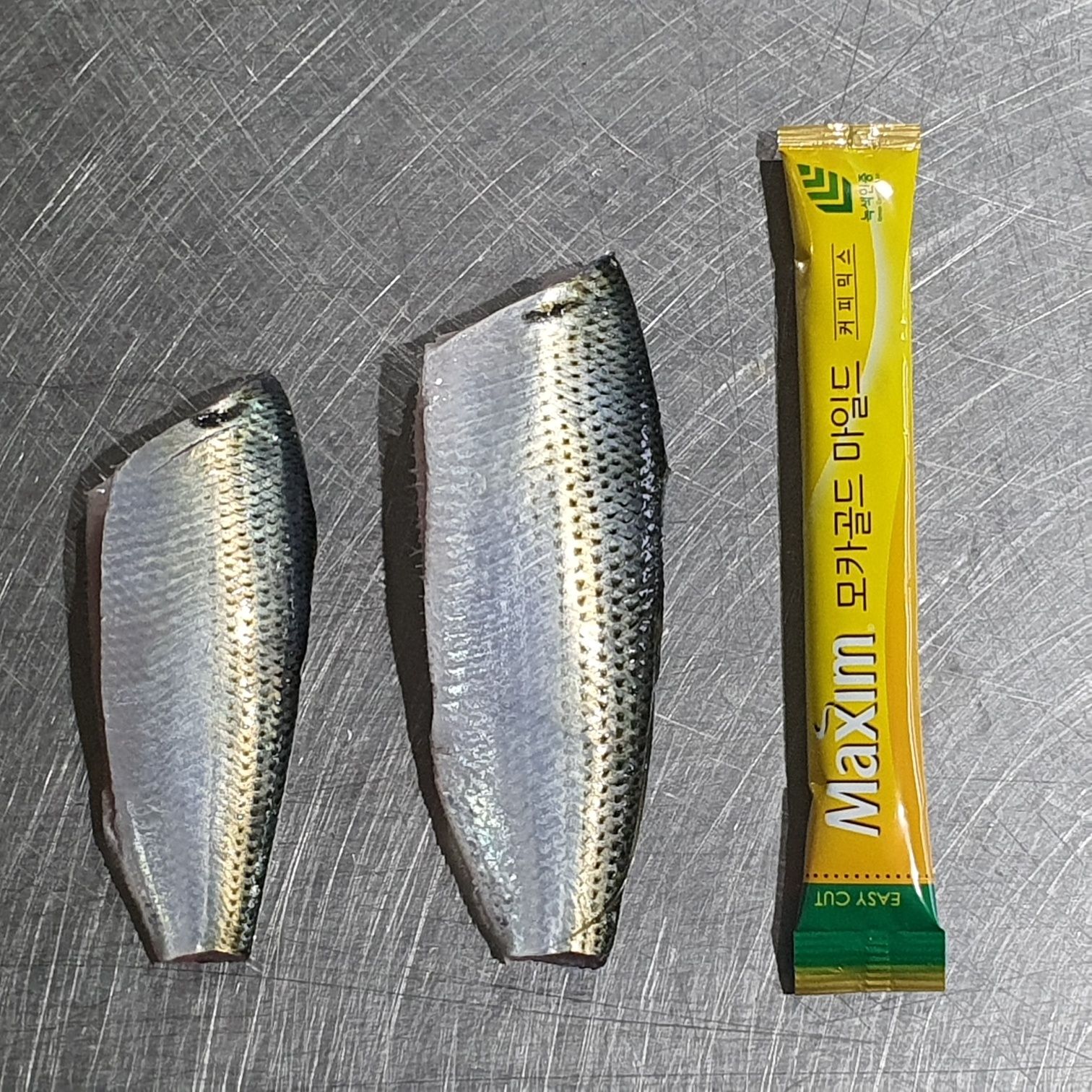 26년 제철 활 전어 당일조업 전어회 구이 필렛 세꼬시 500g 수제쌈장100g증정 상품 이미지
