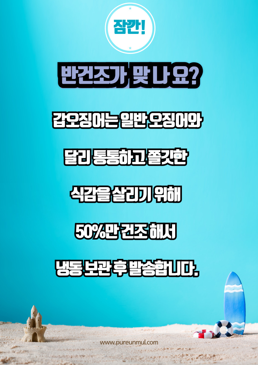 호프집 인기상품 반건조 갑오징어 대/특대 사이즈 준비 - 상세 이미지 5