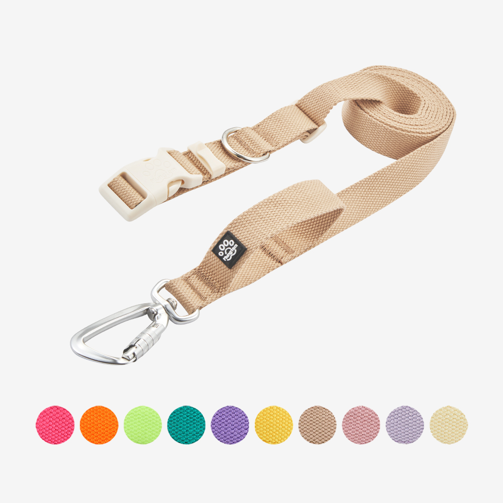 강아지 핸즈프리 리드줄 2.5m 카라비너 산책줄