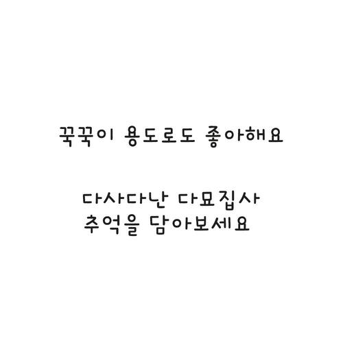 고양이 겨울 털 조끼 고양이 겨울 의류 고양이 집사 추천 반려동물 겨울 준비 고양이 사용 후기