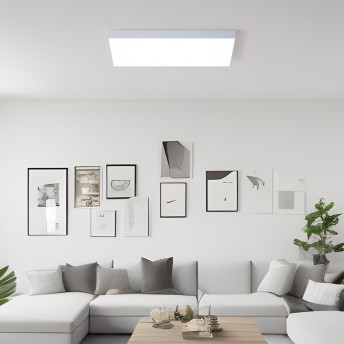 LED등 LED 거실등 루네 슬림 2등 60W - 상품 이미지