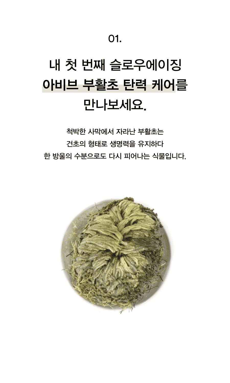 abib rebirth cream duo korean