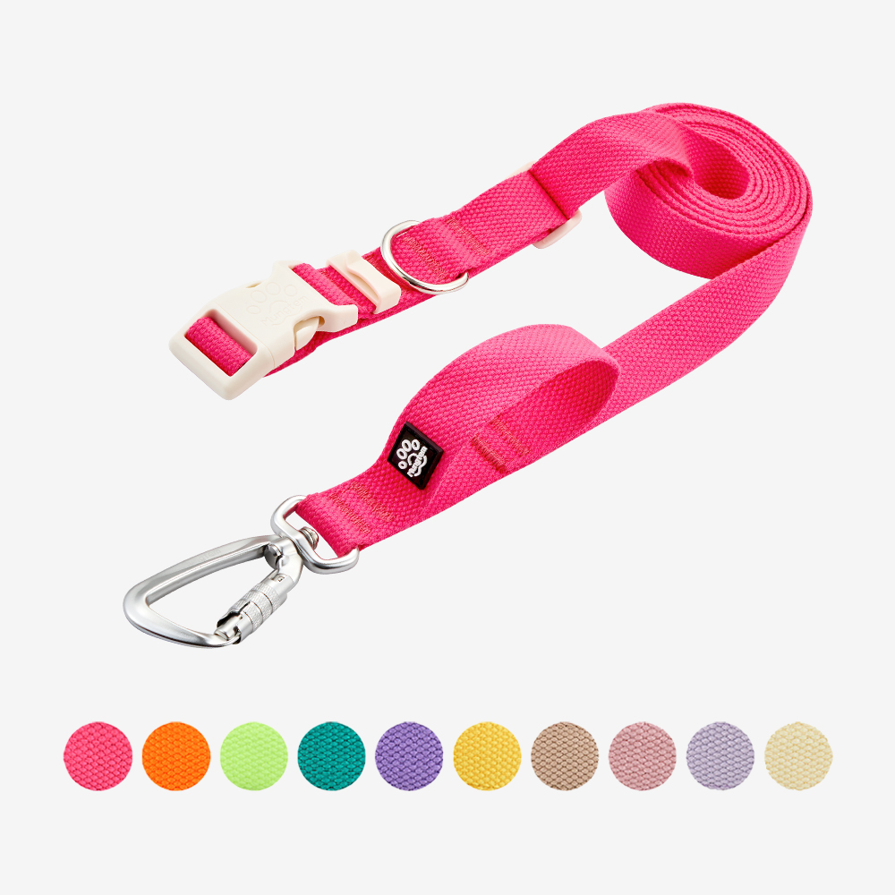 강아지 핸즈프리 리드줄 2.5m 카라비너 산책줄