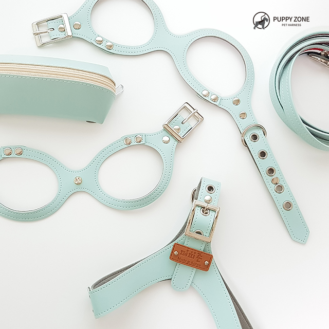 강아지하네스 고양이목줄 파스텔 안경하네스 뿌꾸베베 소형견 S