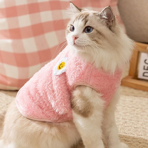 고양이 겨울 털 조끼 고양이 겨울 의류 고양이 집사 추천 반려동물 겨울 준비 고양이 사용 후기