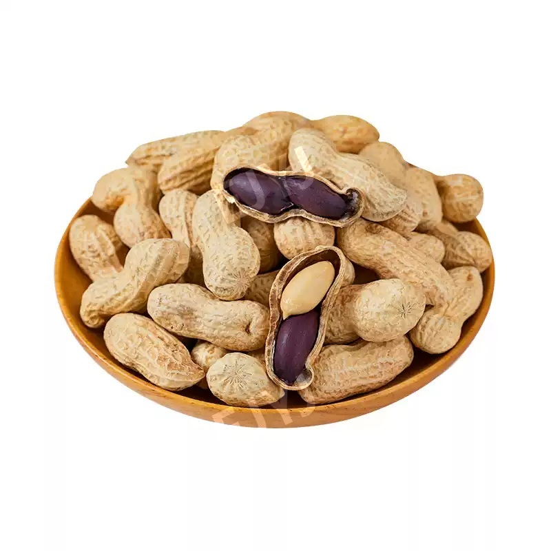 흑땅콩 자색땅콩 black peanut 검은 검정 땅콩 중국산 틱톡 인기 견과류 오리지널 익힌 흑땅콩 500g 1개 - 상세 이미지 5