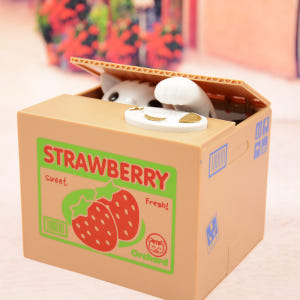 스토리빙 동전먹는 고양이 저금통 스트로베리 실사용 후기 | 효과 있을까? - 상품 이미지 1