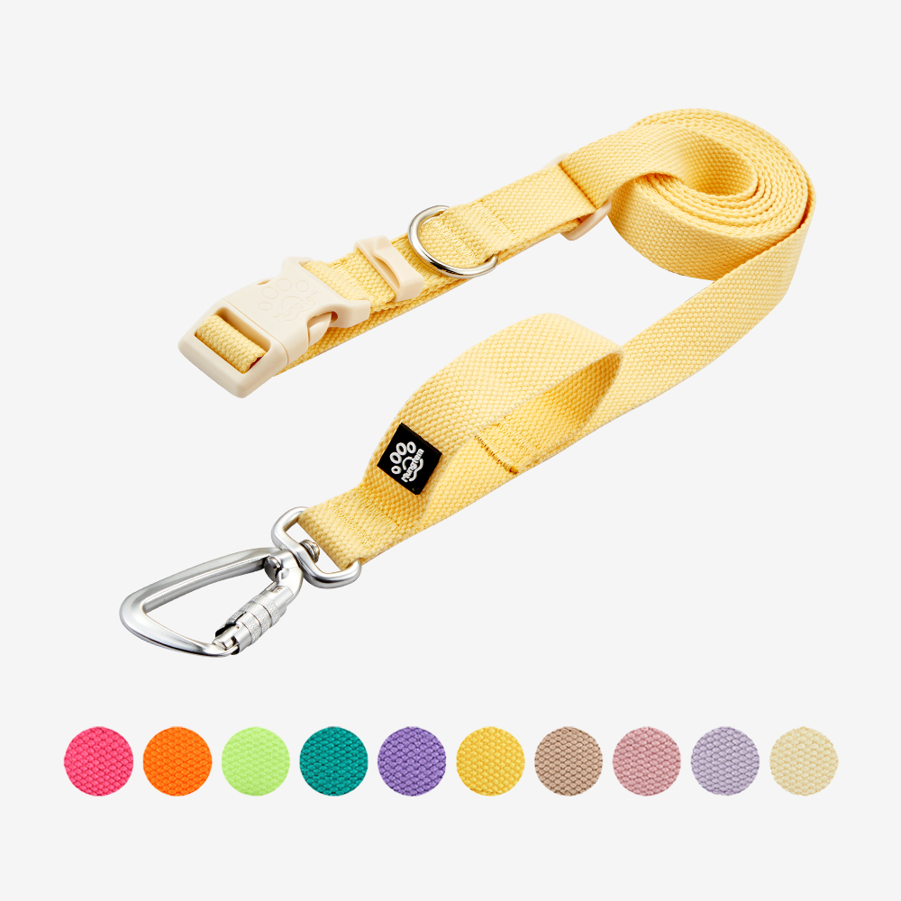 강아지 핸즈프리 리드줄 2.5m 카라비너 산책줄