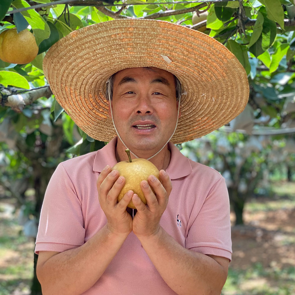 나주배 선물세트, 과일꾼 배, 맛있는 배, 신선한 과일, 명절 선물 추천