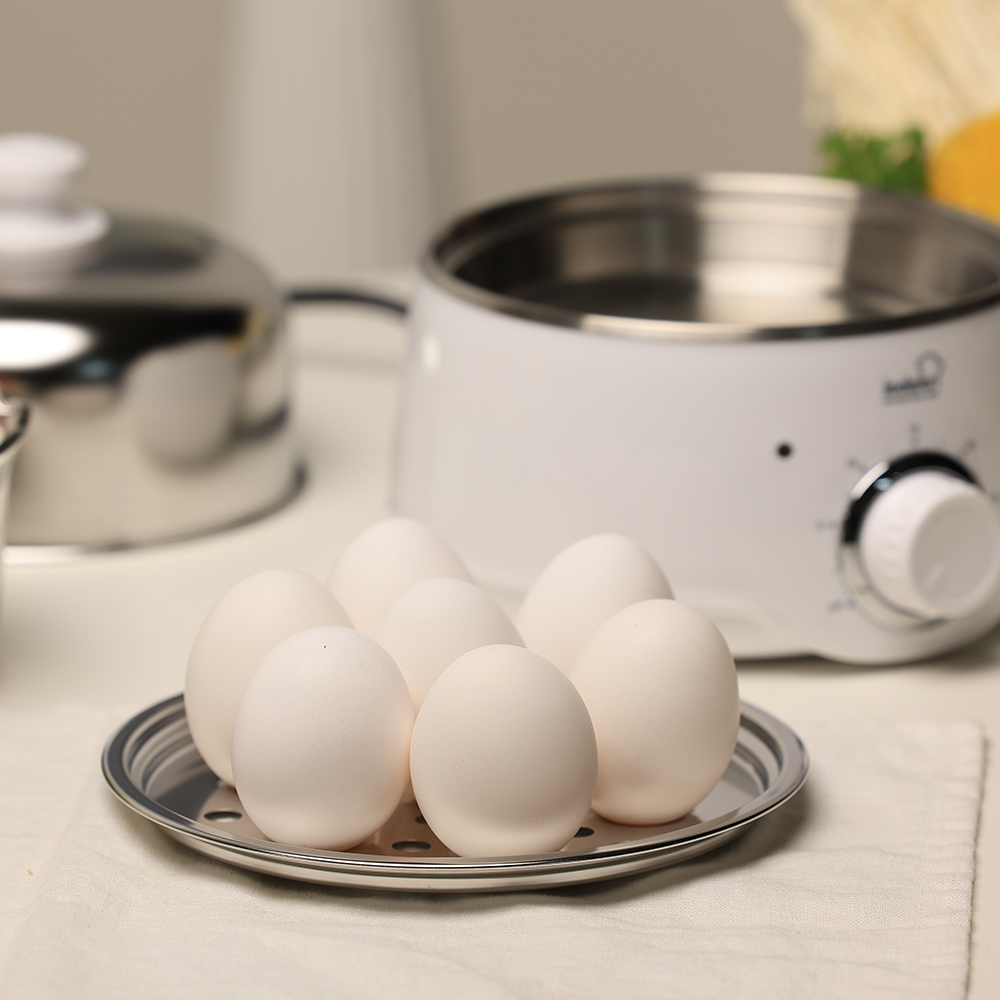 콕스타 전기 미니 스텐 계란찜기 에그쿠커 달걀 삶는 기계 NKTES-1000