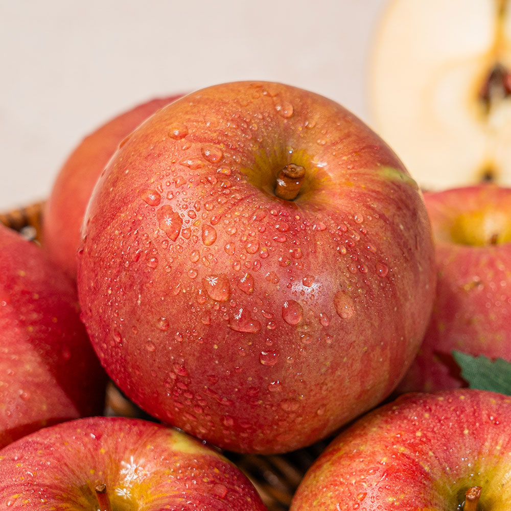 25년 첫수확! 사과 끝판왕 부사사과 산골사과 대표 이미지