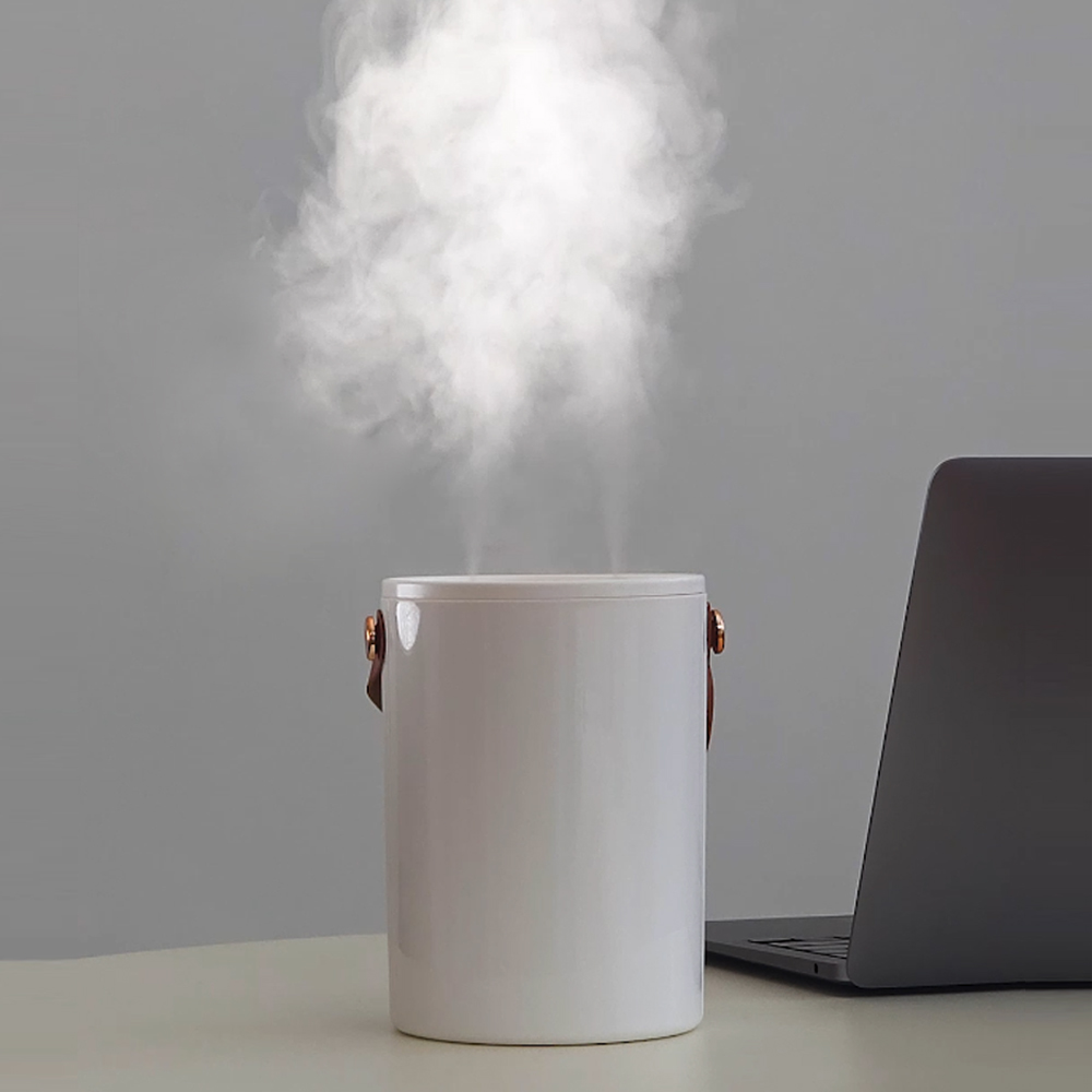 헤몬 듀얼 미스트 미니가습기 탁상용 책상 가습기 1L