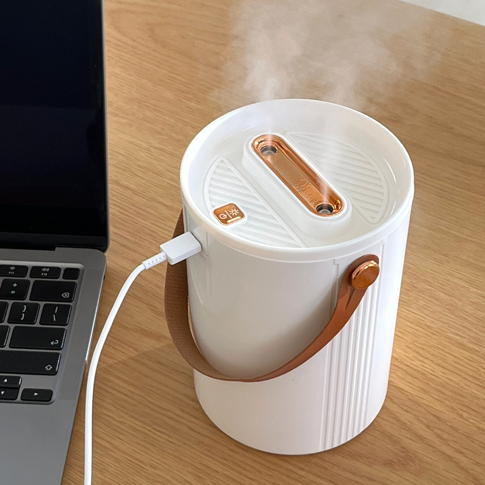 헤몬 듀얼 미스트 미니가습기 탁상용 책상 가습기 1L