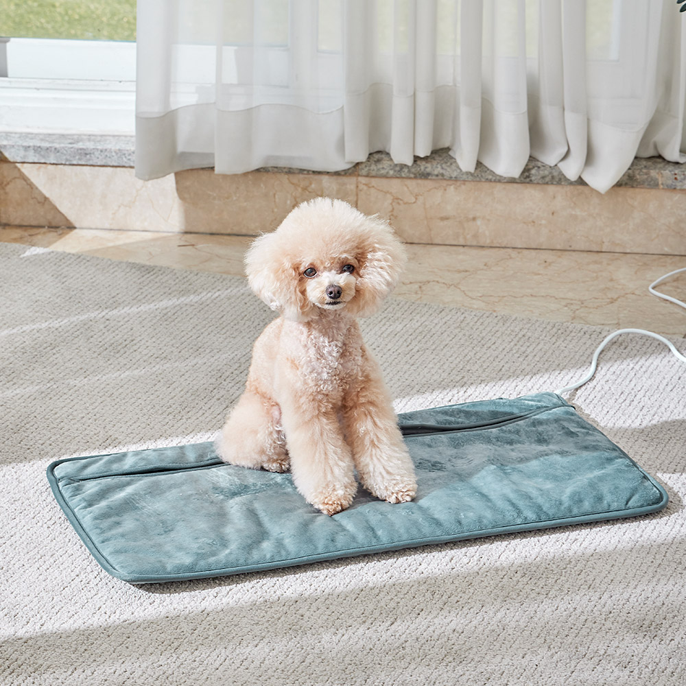 프롬비 닥터슬로우 포켓형 전기찜질기 FD226