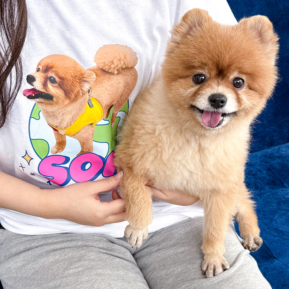 반려동물 티셔츠 제작 강아지 고양이 커스텀 주문제작 - 상품 이미지