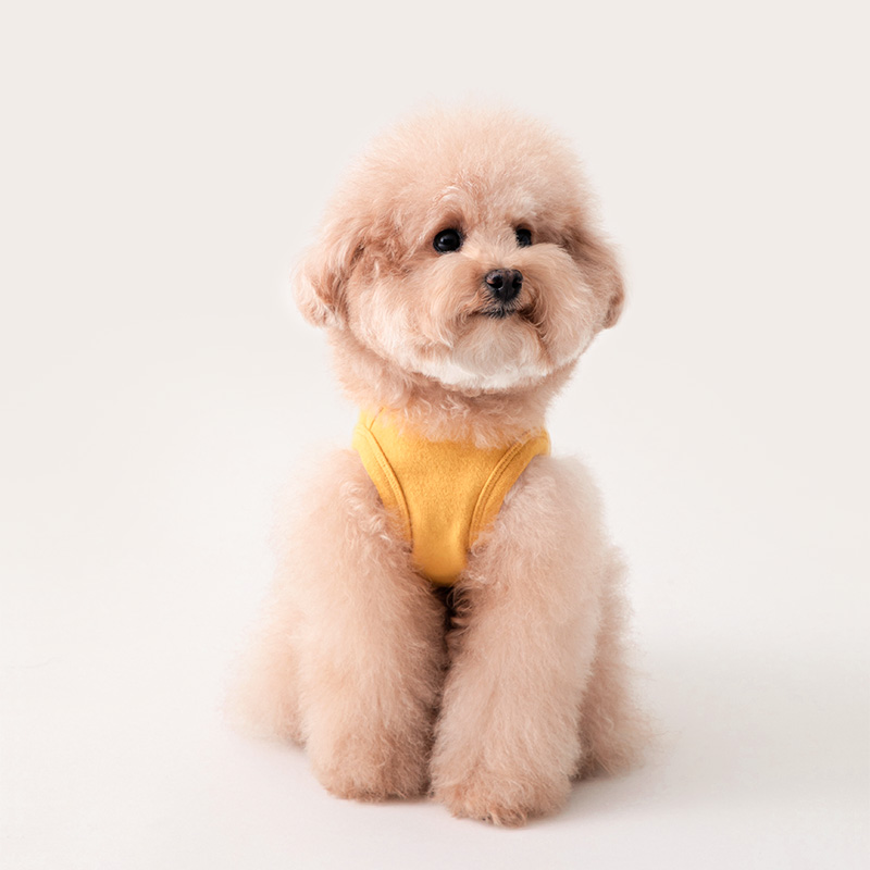강아지 티셔츠 실내복 나시 슬리브리스 반려견 사계절 옷 부드러운 터치감 신축성 좋은 6가지컬러 S~2XL 이미지 2