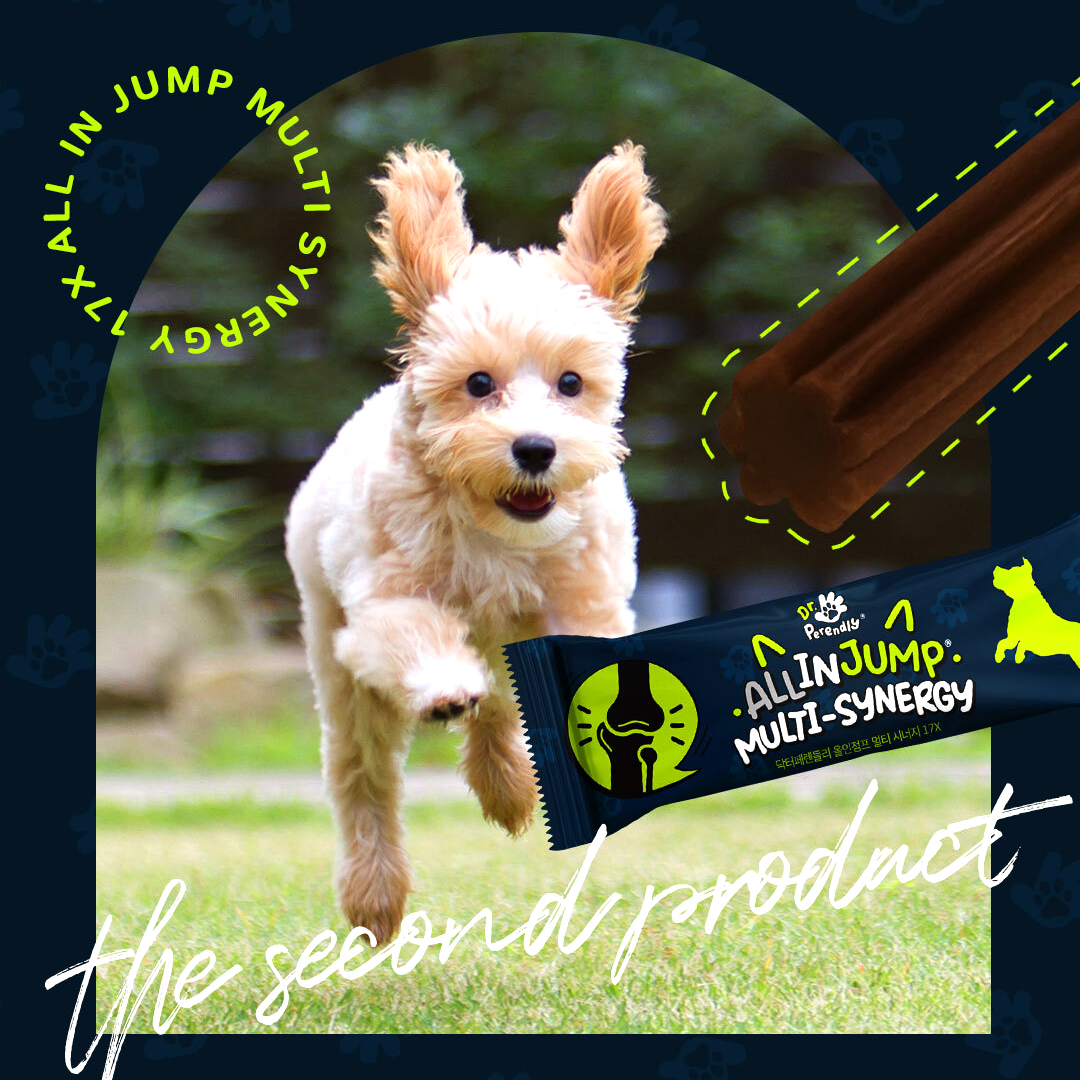 닥터페렌들리 올인점프 강아지 관절 영양제 슬개골 항산화 항비만 면역 소화 20개입, 2개