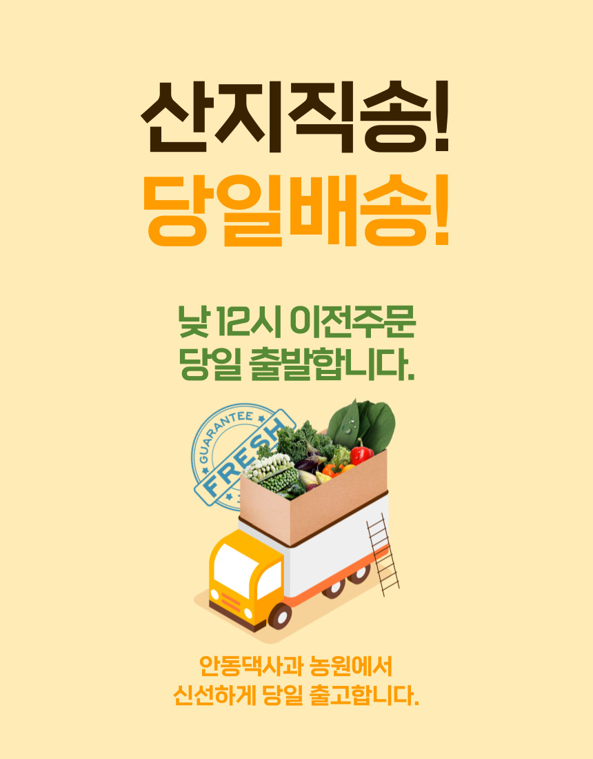 사과 예시
안동댁사과농원사과