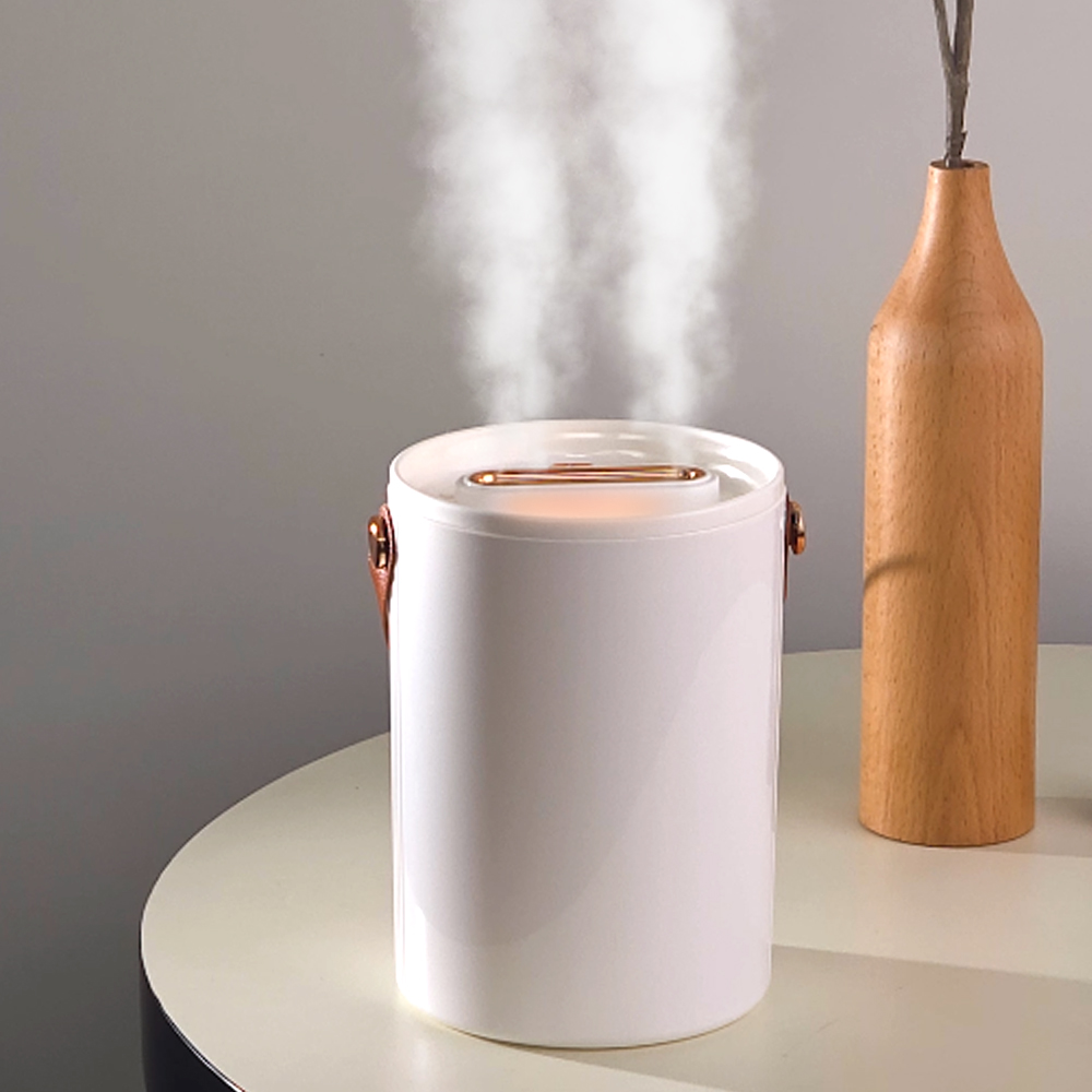 헤몬 듀얼 미스트 미니가습기 탁상용 책상 가습기 1L