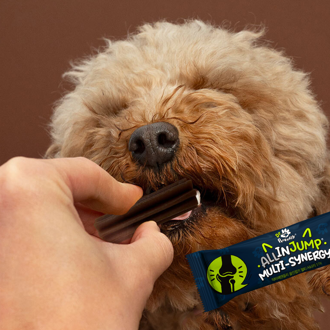 닥터페렌들리 올인점프 강아지 관절 영양제 슬개골 항산화 항비만 면역 소화 20개입, 2개