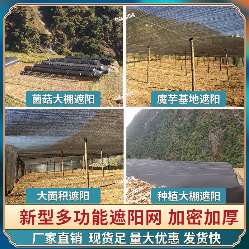 4중 차광막 펜션 캐노피 농촌 전통시장 인삼밭 그늘막 - 상세 이미지 2