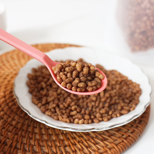 풍심당 무설탕 초코 현미 시리얼 (120g)