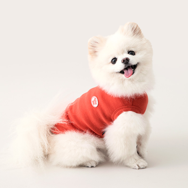 강아지 티셔츠 실내복 나시 슬리브리스 반려견 사계절 옷 부드러운 터치감 신축성 좋은 6가지컬러 S~2XL 이미지 3