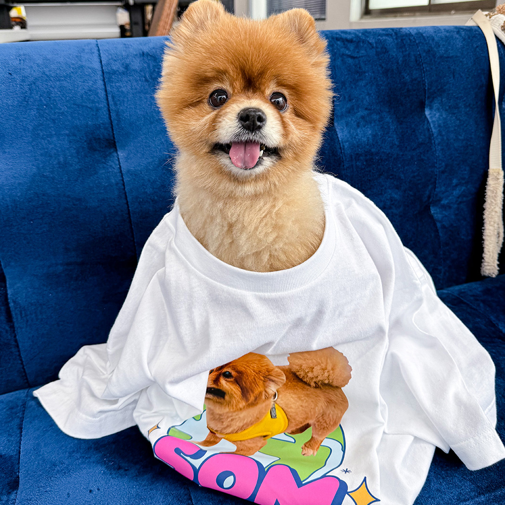반려동물 티셔츠 제작 강아지 고양이 커스텀 주문제작 - 상세 이미지 4