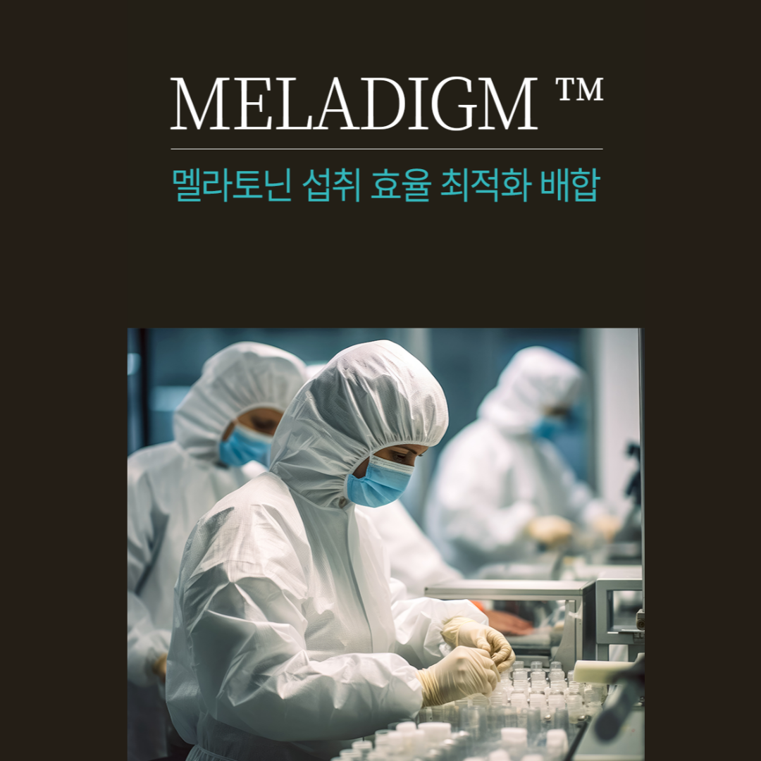 식물성 멜라토닌 함유 테아닌 트립토판 메라토닌 맬라토닌 멜라다임 포레스트 2mg 60정 - 상세 이미지 4
