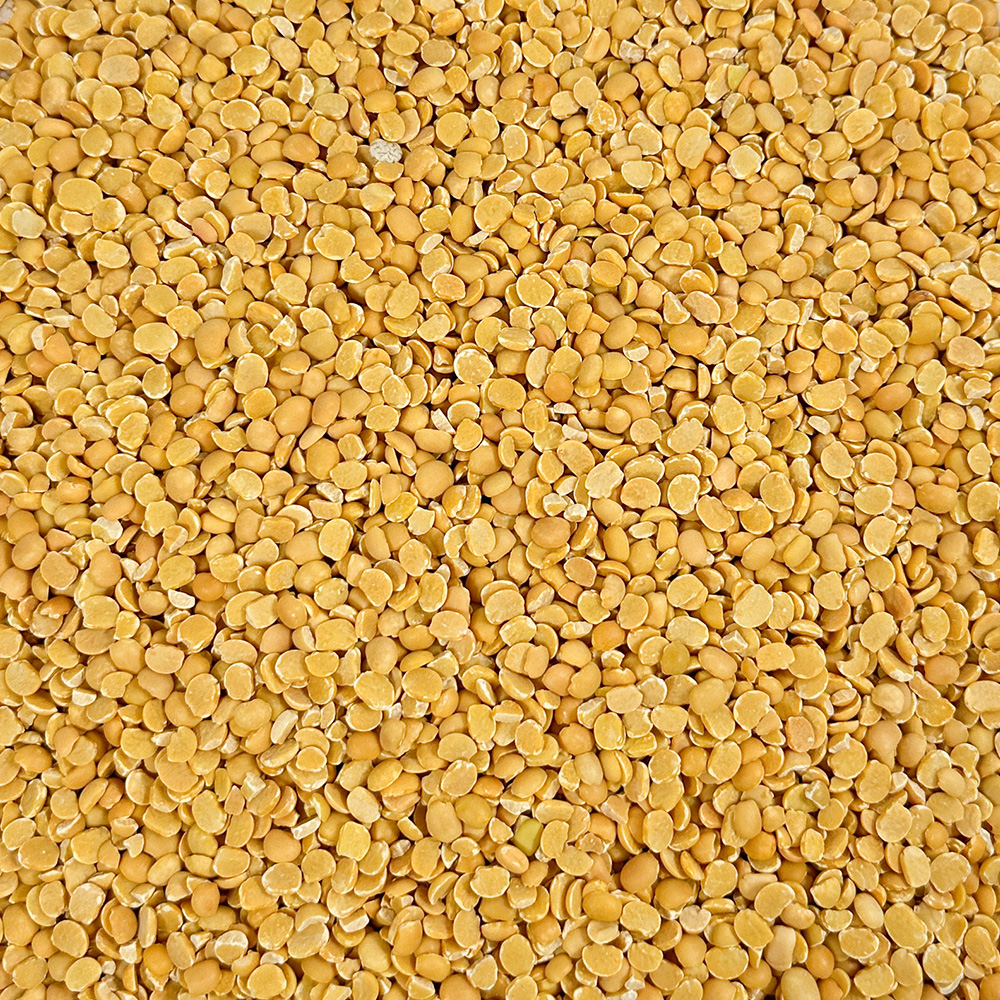 루피니빈콩 1kg 루피리빈 루피니콩 루핀콩 루비니콩 루비니빈 - 상세 이미지 4