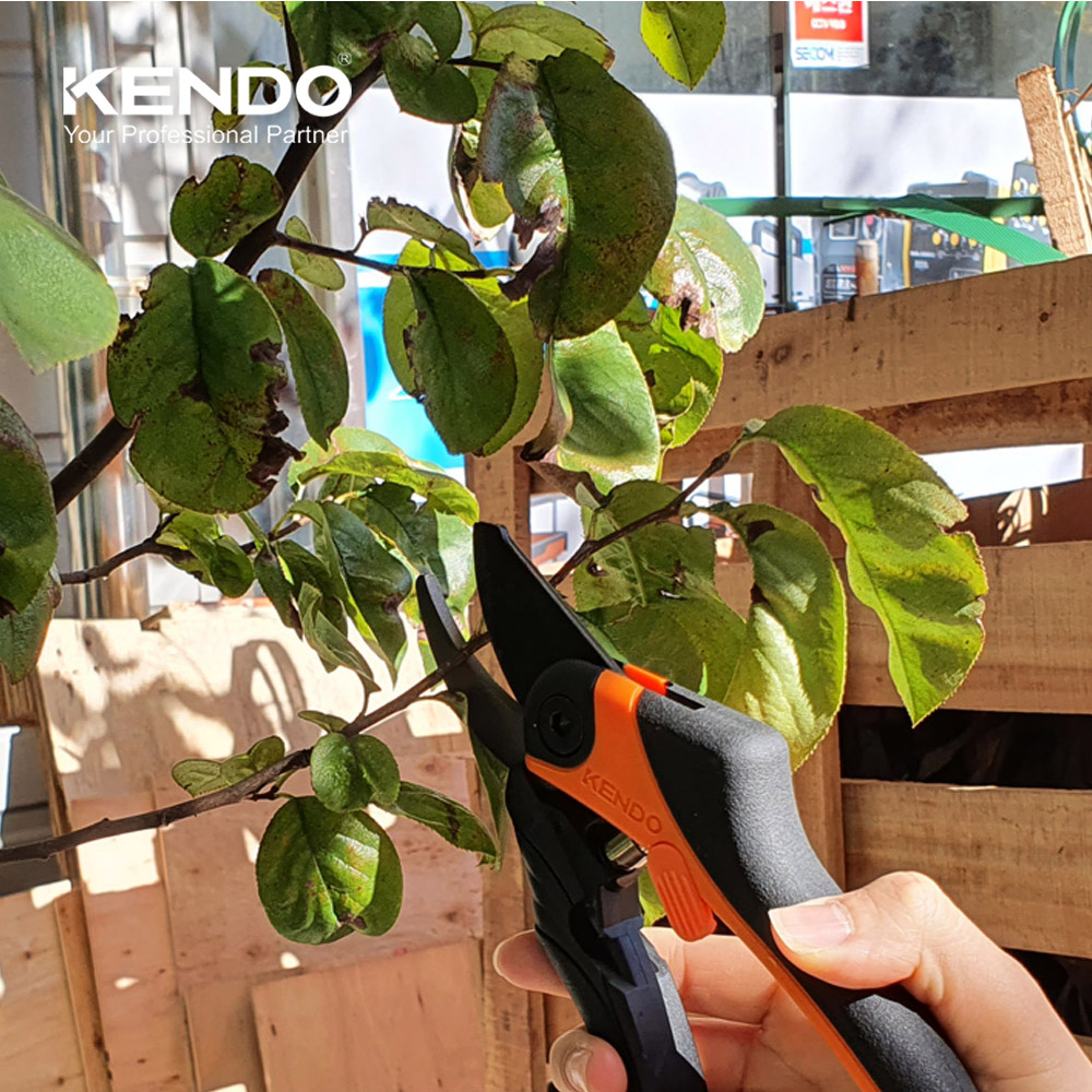 켄도 코팅 프로 전지가위 모음 적과 원예 전정 화훼 가지치기