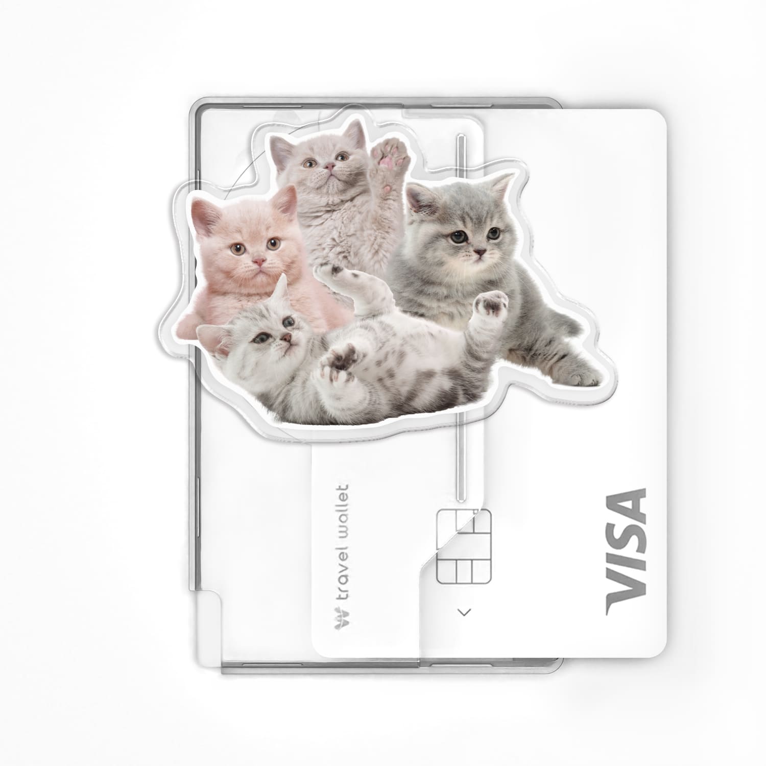 168cm 맥세이프 카드지갑 그립톡 올인포켓 올인포켓 베이비캣