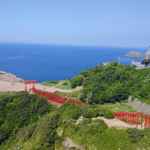 부산 시모노세키 왕복 편도 배편 키타큐슈여행 성희호 하마유 부관훼리승선권... 솔직 후기 | 실사용자 리뷰 분석 - 상품 이미지 4