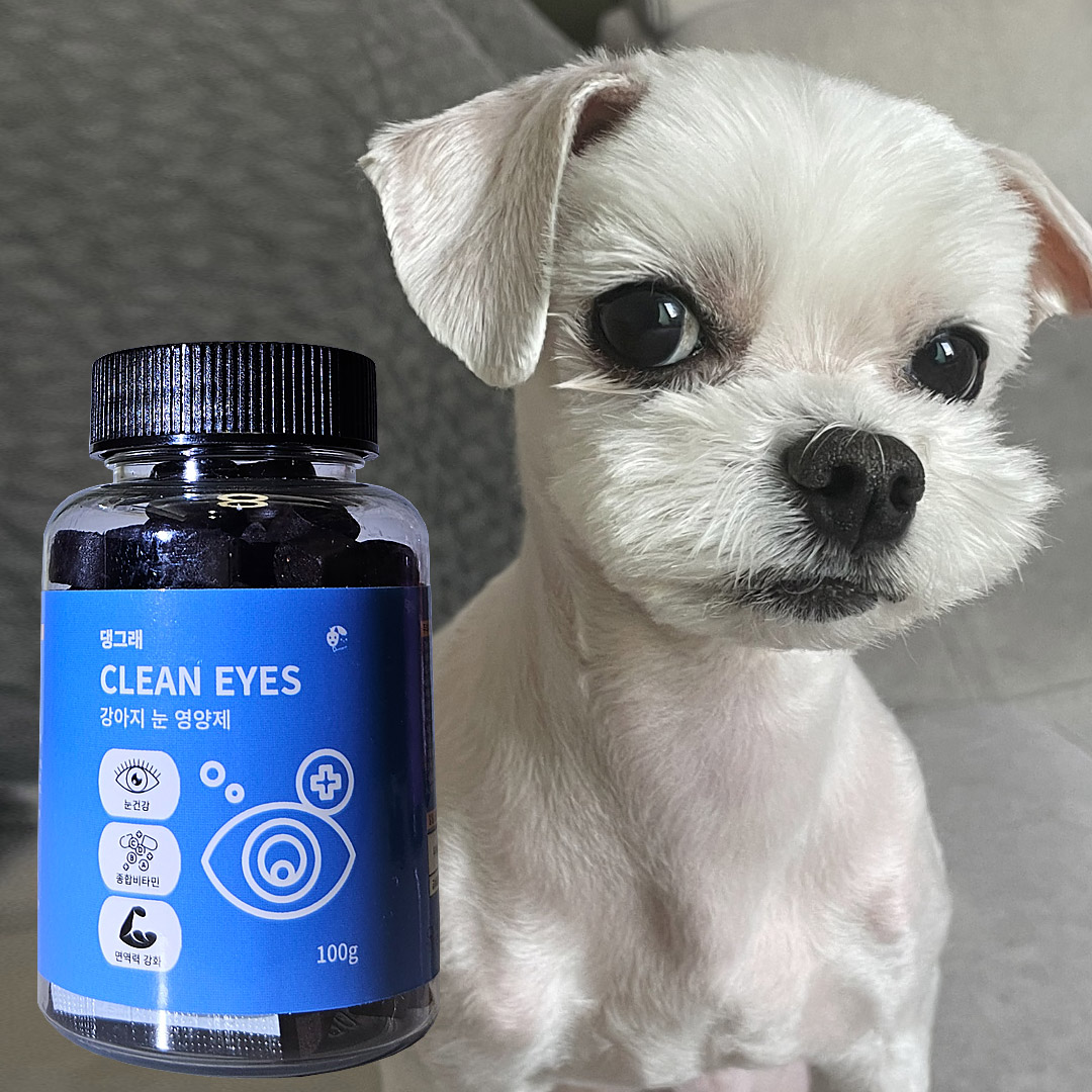 강아지영양제 건강 반려견 애완견 눈건강, 100g, 1개