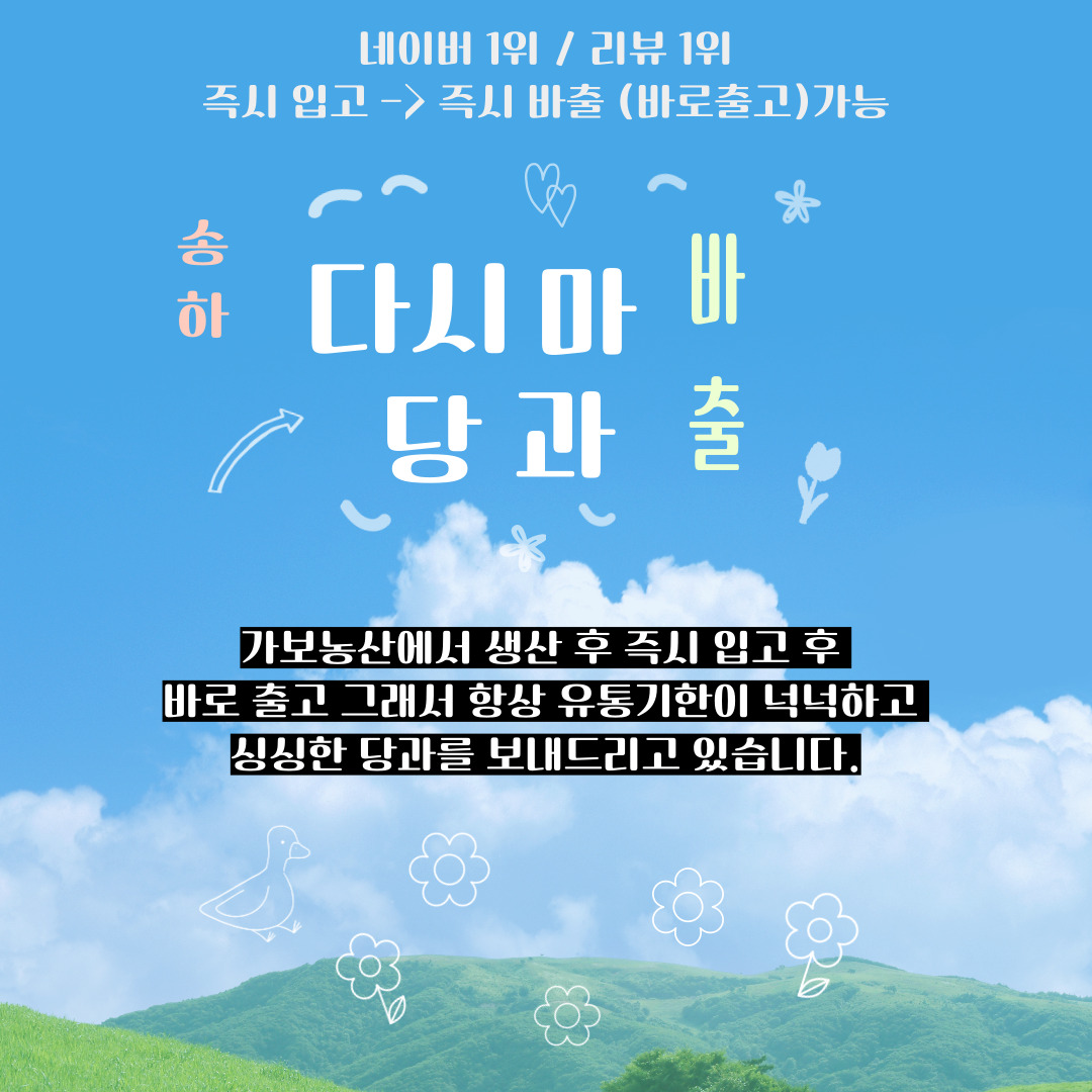송하 생다시마당과 5봉 최근 제조 발송 - 상세 이미지 3