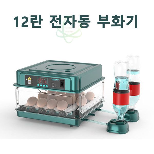 조류 부화기 디지털 병아리 달걀 자동 12란 02) 조류 부화기 디지털 병아리 달걀 자동 부화기 12란 : 머스티든마켓
