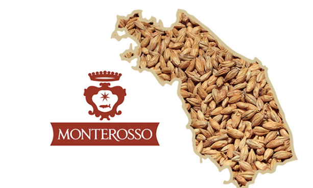 아라비노자일란 파로효소 타로효소 소화 탄수화물분해 30포 - 상세 이미지 4