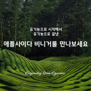 애사비 애플사이다 비니거 유기농 애사비 정 사과초모식초 캡슐 60알약속 ... 맛있게 먹은 솔직 후기 - 상품 이미지 4