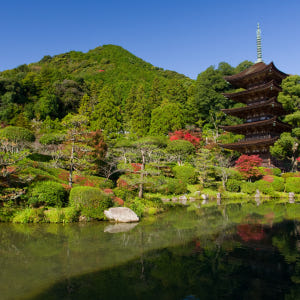 부산 시모노세키 왕복 편도 배편 키타큐슈여행 성희호 하마유 부관훼리승선권... 솔직 후기 | 실사용자 리뷰 분석 - 상품 이미지 3